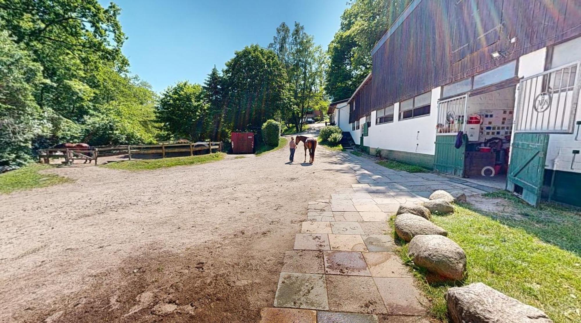 Reiterpension Marlie Scharbeutz Esterno foto