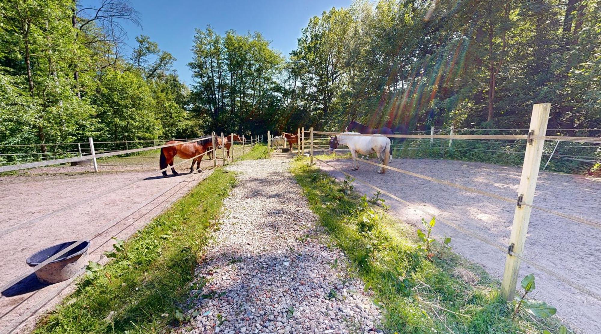 Reiterpension Marlie Scharbeutz Esterno foto